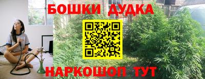 прущие крисы Кимры