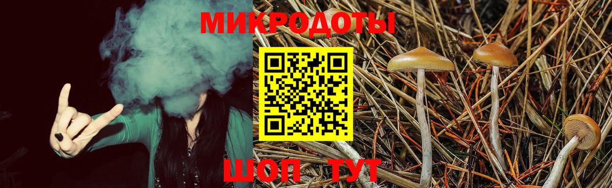 Галлюциногенные грибы GOLDEN TEACHER  Вход с VPN  где купить наркоту  Лабинск 